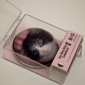 Image of Large Priscilla Batsel Magnet