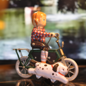 Image of Tin Ginger on a Single Speed Ride with Fashionable Fido.