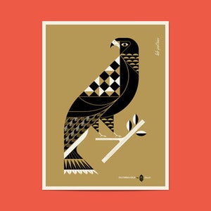 Image of California Gold No.5 - Hawk
