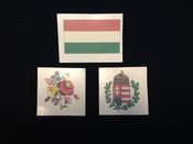 Image of Temporary Tattoos for Kids and Big Kids