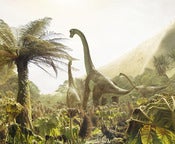 Pre-History