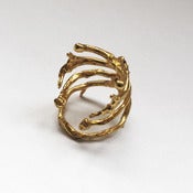 Image of ribcage ring
