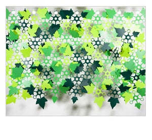 Image of Joyn Ivy | ref. 102