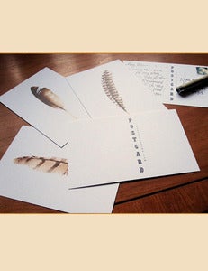 Image of Feather Postcards ~ Set of Twelve
