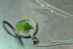 Image of "the Biosphere": Sterling silver pinchback 