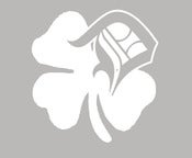Image of Detroit Shamrock Decal