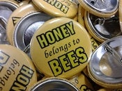 Image of Honey Belongs To Bees Button