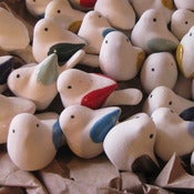 Image of River Song Birdies