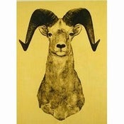 Image of “Ovis Canadensis” Yellow