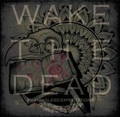 Image of Wake The Dead "meaningless expectations" EP 10"