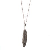 Image of somewhere there's a feather