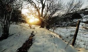 Winter Sunset