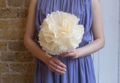 Image of Peach Flower