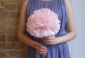 Image of Pale Pink Flower