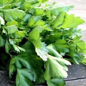 Image of Parsley - Italian