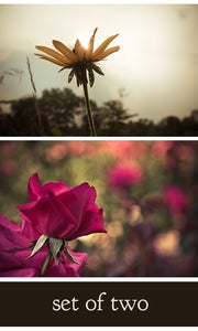 Image of floral. set of 2.