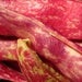 Image of Bean - Borlotti fire tongue bush