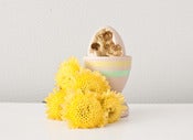 Image of Small Golden Wooden Egg Geode