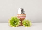 Image of Small Silver Wooden Egg Geode With White Egg Shell