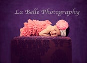 Image of Coral Rose pettiromper