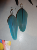 Image of Alula Earrings