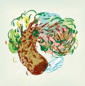 Image of Eric Ayotte - Wavering LP