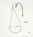 View image 1