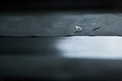 Image of Minuscule #1