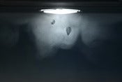 Image of Minuscule #4