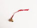 Image of Indian Bell with Handknitted String