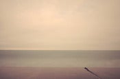 Image of Langerons Minimalism 