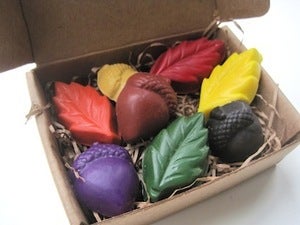 Leaves and Acorns