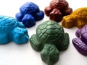 Image of Marine Sea Turtles