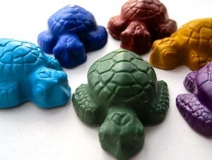 Marine Sea Turtles