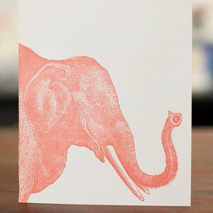 Image of Elephant Portrait Card