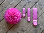 Image of Fuschia