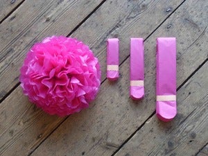Image of Fuschia