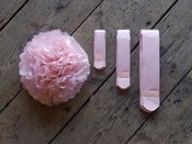 Image of PalePink 