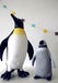 Image of Grand pingouin soft play ♥