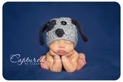 Image of Lucky the Puppy  