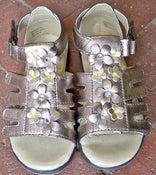 Image of Pediped- Violet Bronze