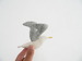 Image of kamomé pin (cocon seagull)