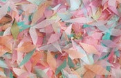 Image of NEW Confetti-Multi & Bright Multi 