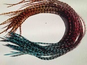 Image of Tie Dye Feathers