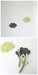 Image of "nuageux, parfois la pluie" cloud coaster