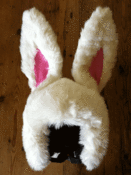 Image of White SnowBunny