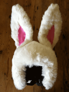 Image of White SnowBunny