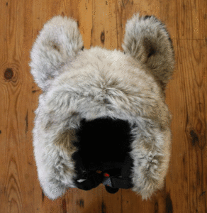 Image of SnowHusky