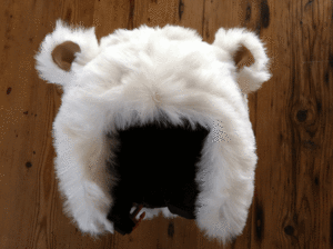 Image of PolarBear