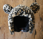 Image of SnowCat
